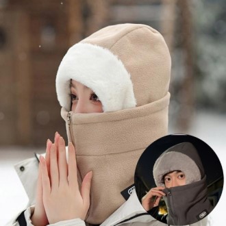 ���麸�� ���� �ĸ��� �ؿ���